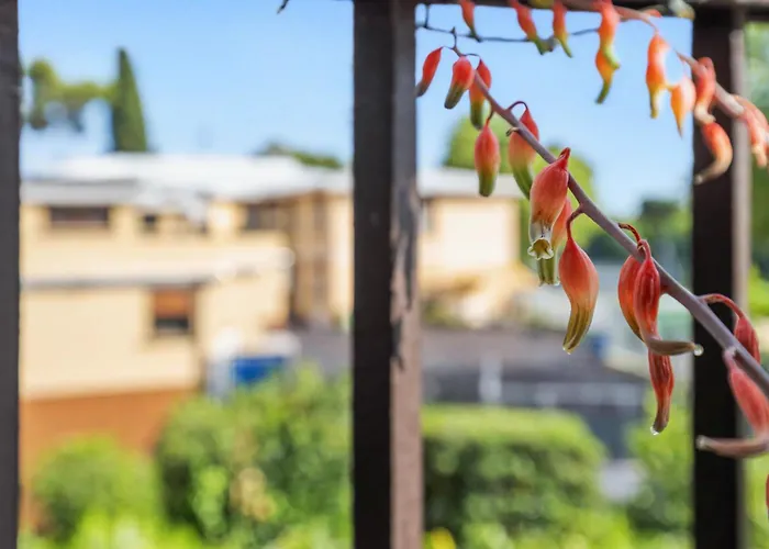 Apartamento Vatican Oasis - Garden View Balcony & Full Kitchen *